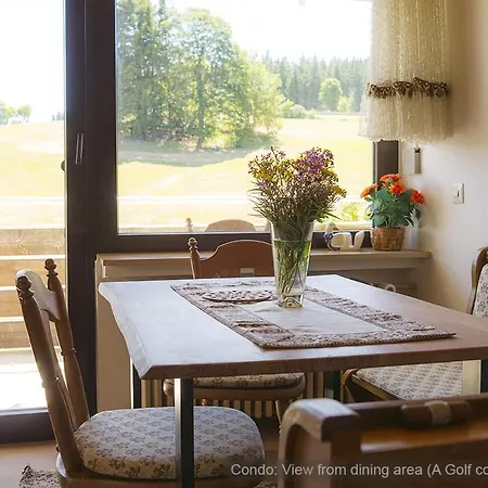 Lejlighed 71 Square Meters In Schwarzwald With Beautiful Mountain View, Swimmingpool, Sauna & Free Wifi Schönwalde