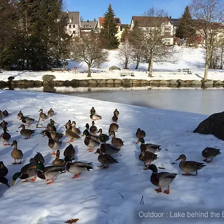 71 Square Meters In Schwarzwald With Beautiful Mountain View, Swimmingpool,free Wifi * Schönwalde