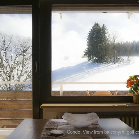 71 Square Meters In Schwarzwald With Beautiful Mountain View, Swimmingpool,free Wifi アパート Schönwalde