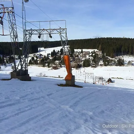 71 Square Meters In Schwarzwald With Beautiful Mountain View, Swimmingpool,free Wifi アパート